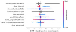 SHAP graph for loan default risk model