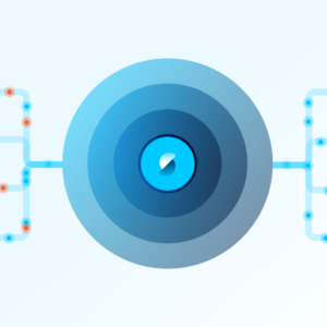 Aunsight Golden Record Data Cleansing